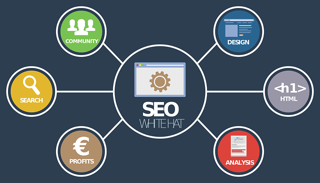 evaluate your seo campaign